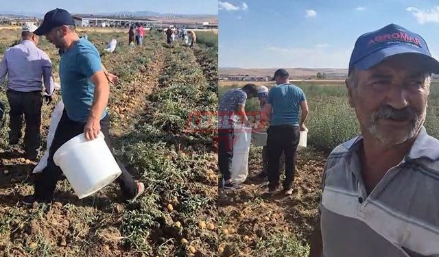Tarla İle Market Arasındaki Fiyat Uçurumu Çiftçiye Bunu Yaptırdı