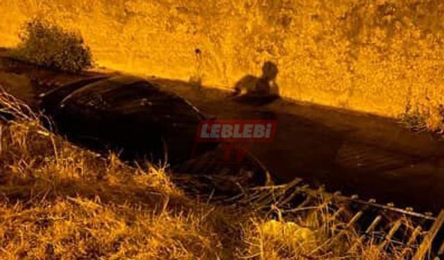 Dereye Uçan Otomobilde Can Pazarı