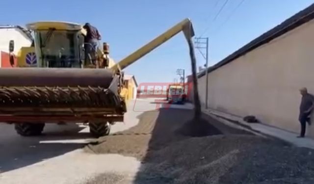 Yağlık Ayçiçeği Hasadı Başladı