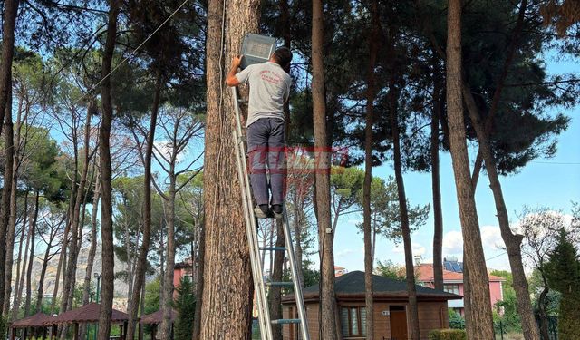 Tabiat Parkı Işıl Işıl Aydınlatıldı