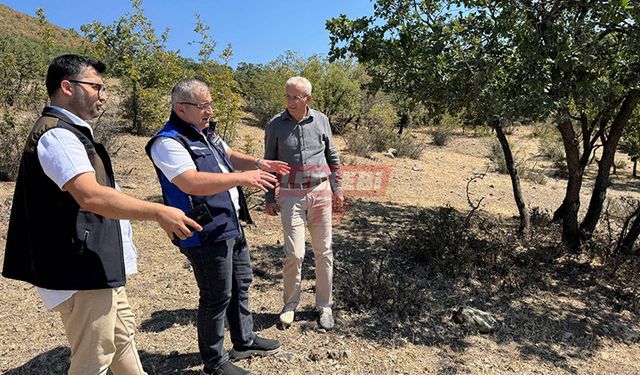 Bayat Yeni Mesire Alanına Kavuşuyor