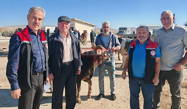Hayvan ve Halk Sağlığı Konusunda Taviz Verilmeyecek