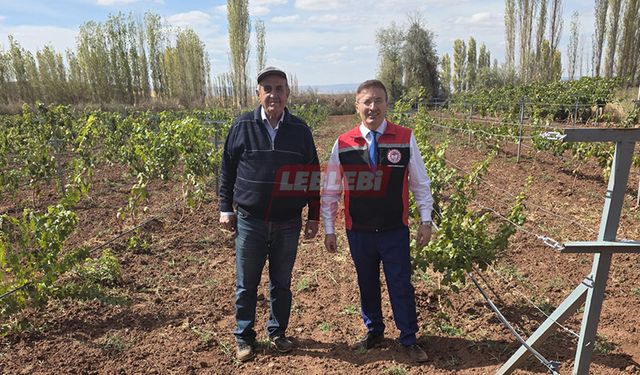 Bağ ve Ceviz Bahçeleri İncelendi