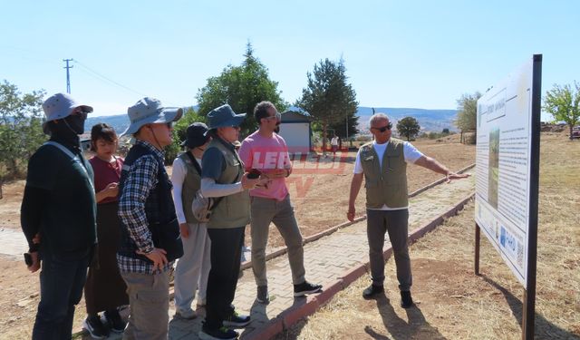 Güney Kore Ulusal Kültürel Miras Araştırma Enstitüsü Heyeti, Çorum'da Arkeolojik Kazı Alanlarını Gezdi