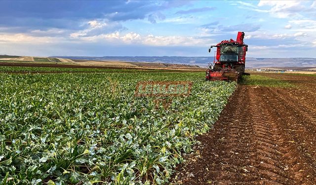 ÇKS’de Son Başvuru 31 Aralık’ta