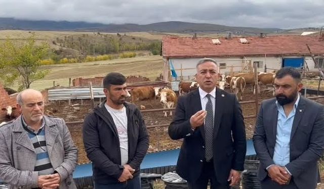 Milletvekili Tahtasız: Hayvancılıkta Tehlike Çanları Çalıyor