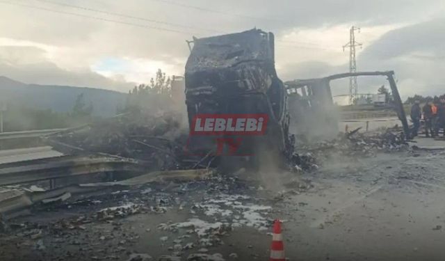 Seyir Halindeki TIR Alev Aldı, Yol Ulaşıma Kapandı