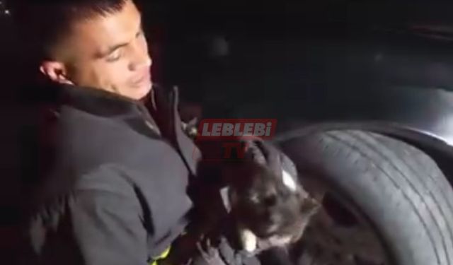 Otomobilin Motoruna Sıkışan Yaramaz Kediyi İtfaiye Kurtardı