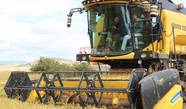 Kaymakam Tarlaya İndi, Direksiyona Geçip Hasat Yaptı