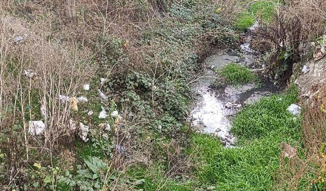 Mecitözü Belediyesi’nden Dere Temizliği