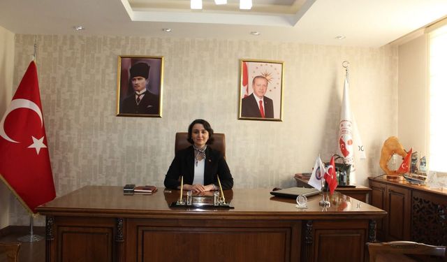 Dodurga Kaymakamı Tokur, Göreve Başladı