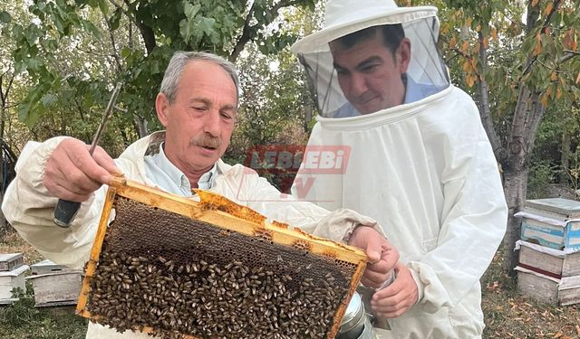 Sungurlu Kaymakamı Köksal, Bal Hasadına Katıldı