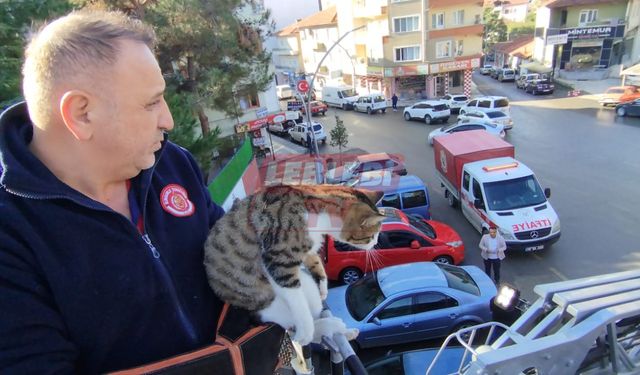 Çatıda Mahsur Kalan Kediyi Ekipler Kurtardı