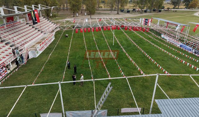Kargı Panayırı Güreşlerinde 600 Pehlivan Altın Kemer İçin Kol Bağlayacak