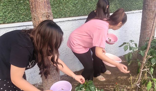 Yurt Öğrencileri Ektiklerini Biçmenin Mutluluğunu Yaşadı