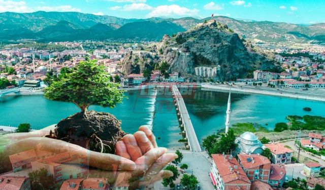 Milli Eğitim’den Osmancık’ta Ağaçlandırma Seferberliği