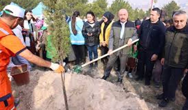 Haydi Fidan Dikmeye!