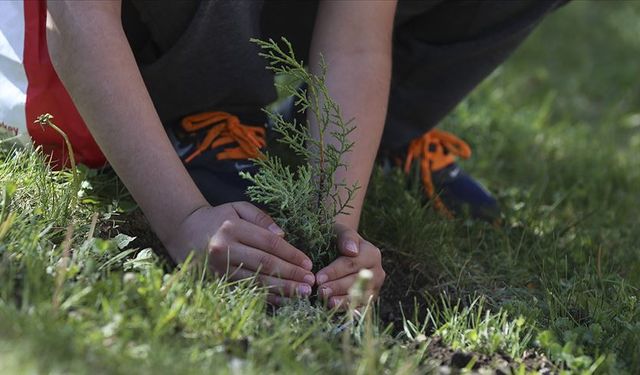 Yeşili Sahiplenmede Bölgemizde Sınıfta Kaldık