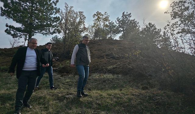 Bayat’ta Bal Ormanı Oluşturulacak