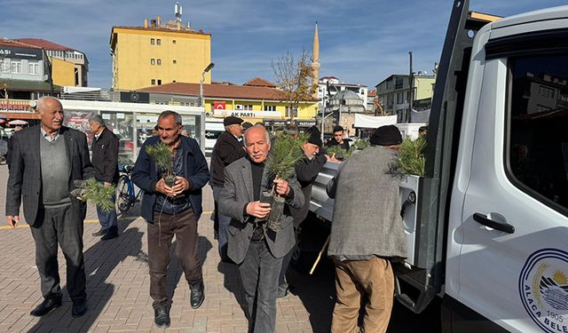 Alaca Belediyesi Fidan Dağıttı