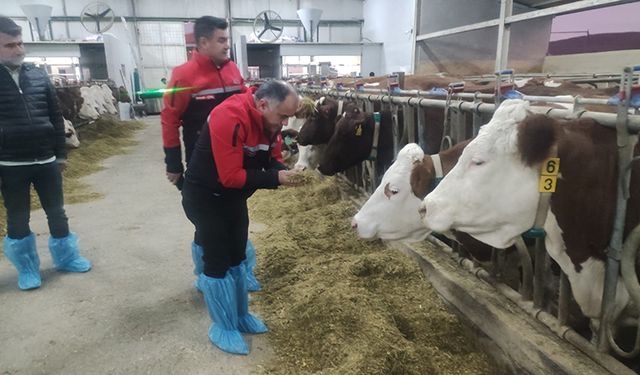 Kırsal Kalkınma Yatırımları Yerinde İncelendi