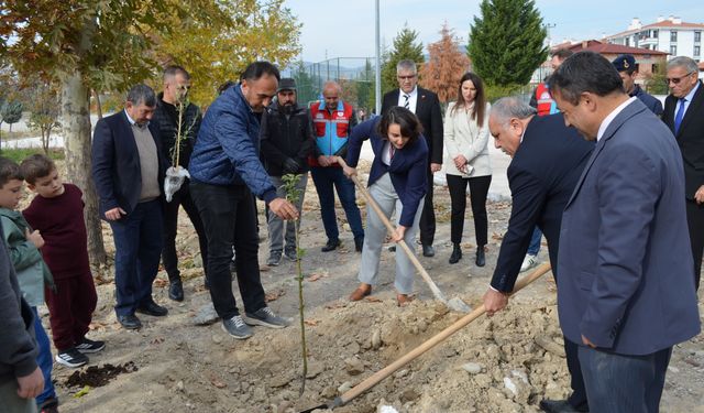 Dodurga'da 60 Meyve Fidanı Toprakla Buluşturuldu