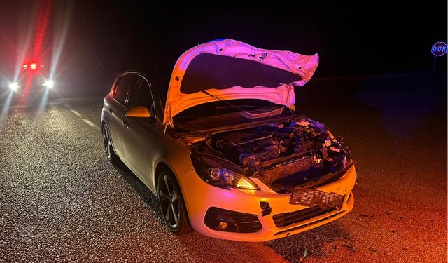 Danaya Çarpan Otomobilde Ölümden Döndüler