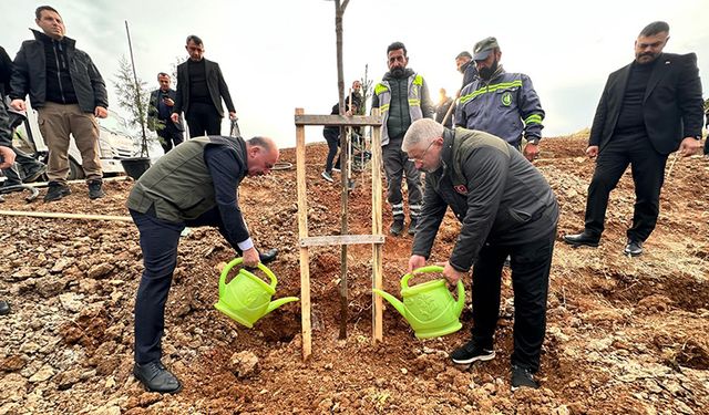 Nadık Şehir Ormanı’nda İlk Ağaçlar Toprakla Buluştu