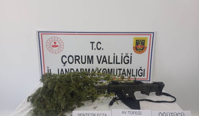 Zehir Ticaretine Darbe