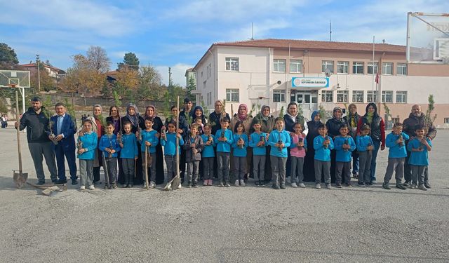 Koyunbaba İlkokulunda Fidanlar Toprakla Buluştu