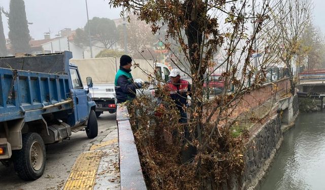 Park ve Bahçelerde Kış Öncesi Kapsamlı Bakım Başladı