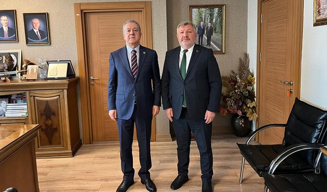 Gelgör, MHP Kurmaylarına Projelerini Anlattı