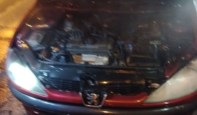 Park Halindeki Otomobil Alev Aldı