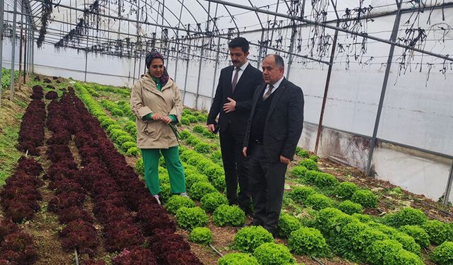 Laçin’de TKDK Destekli Modern Sera Ziyareti