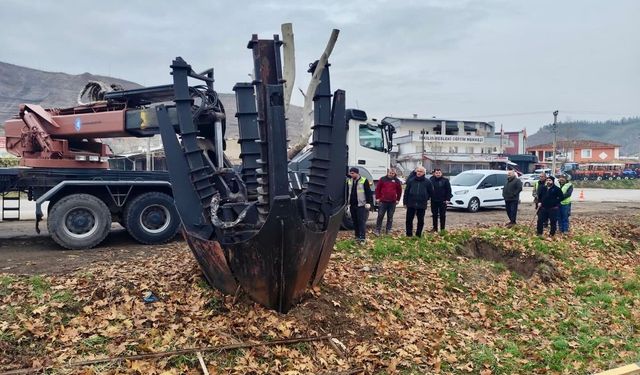 Çınar Ağaçları Yeni Yerinde Hayata Tutundu