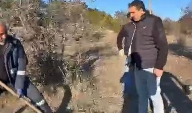 Uğurludağ’da Yeşil Dönüşüm Meyve Ağaçları İle Sürüyor