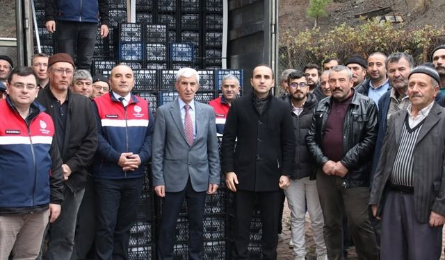 Çiftçilere Çilek Fidesi İle Ceviz Fidanı Dağıtıldı