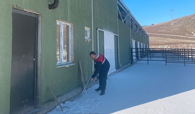 İlçelerde Hayvan Kapasite Raporlarının Düzenlenmesine Devam Ediliyor