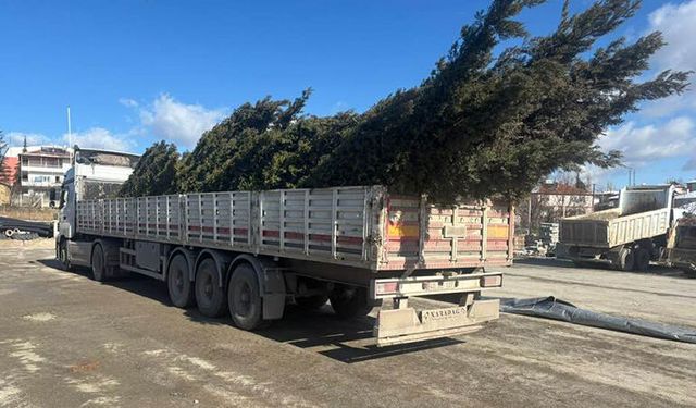 Her Şey Daha Yeşil Bir Ortaköy İçin