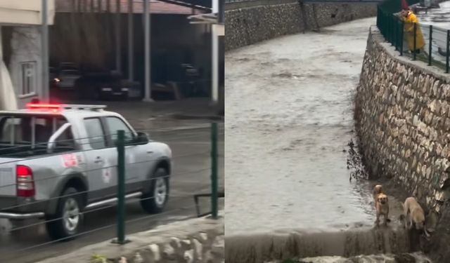 Sele kapılmaktan Belediye Ekipleri Son Anda Kurtardı