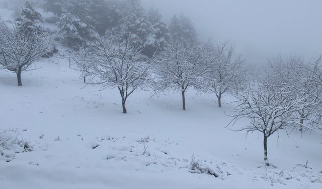 Ceviz Bahçeleri Karla Kaplandı