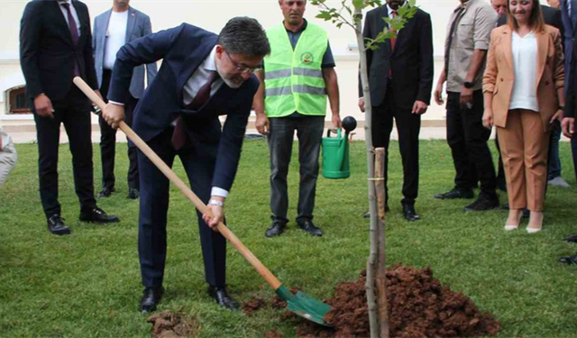 Yüzde 30’U Orman Olan Türkiye’de 517 Milyon Fidan Toprakla Buluşturuldu