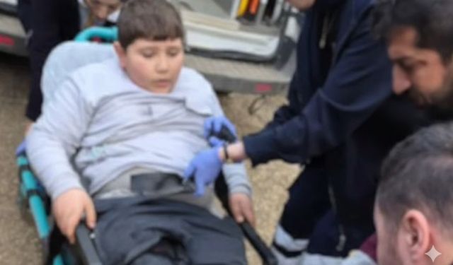 Küçük Çocuk 4 Köpeğin Saldırısına Uğradı!