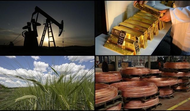 Emtia Piyasası Ocak Ayında Da Rekor Tazeledi