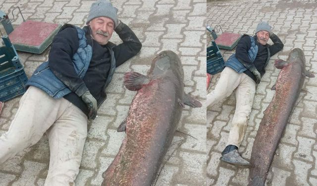 Çorum’da 65 Kilo Yayın Balığı Heyecanı