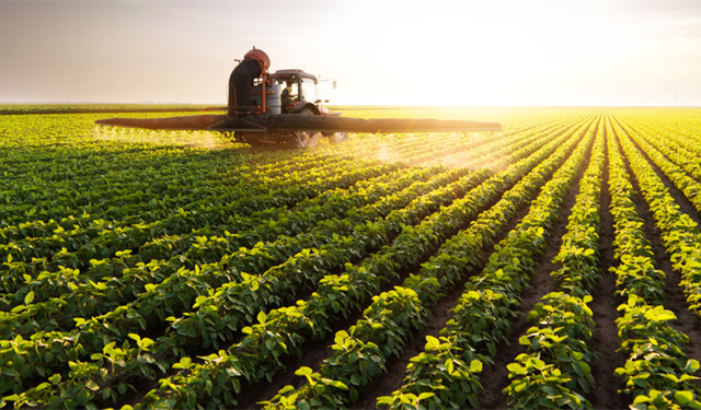 Hesapları Kontrol Edin! 129 Milyonluk Ödeme Yattı