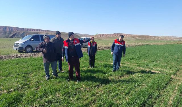 Hububat Ekili Arazilerde Hastalıklara Karşı Kontroller Sürüyor