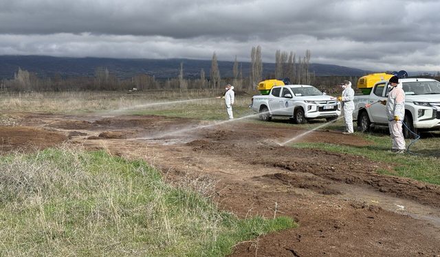 Çorum Belediyesi’nden Yaz Öncesi Yoğun Vektörle Mücadele