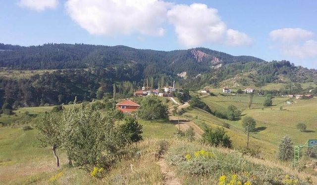 Sürekli Yaşanan Elektrik Kesintileri Köylüleri Çileden Çıkardı