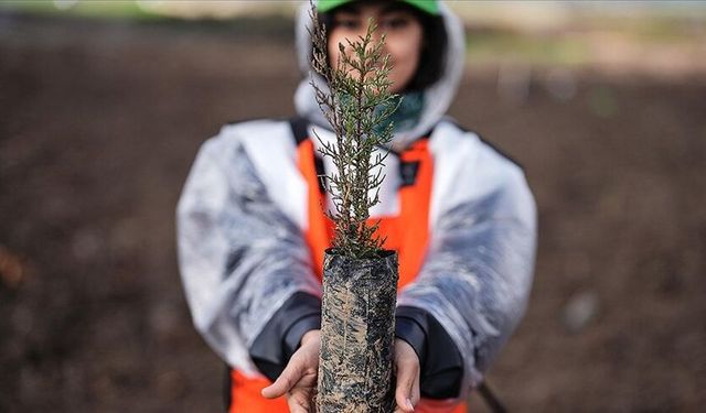 Yeşil Vatan İçin Rekor Hedef Belli Oldu